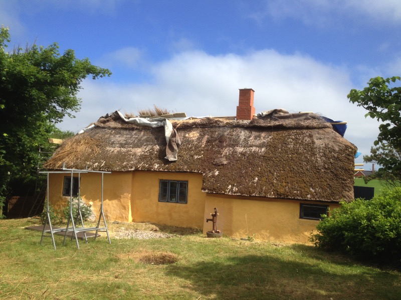 2018-06-12 10.40.40 De troosteloze zuidkant van het dak krijgt nog een zonnetje